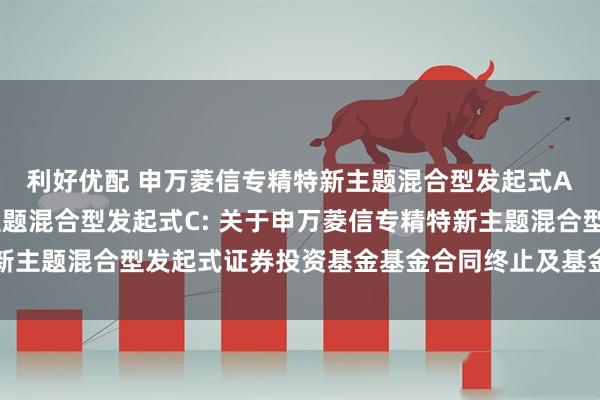 利好优配 申万菱信专精特新主题混合型发起式A,申万菱信专精特新主题混合型发起式C: 关于申万菱信专精特新主题混合型发起式证券投资基金基金合同终止及基金财产清算的公告